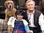 Punky Brewster - image 4