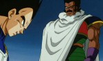 Dragon Ball Z - Film 08 : Broly le Super Guerrier - image 10