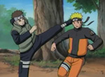 Naruto Shippûden - image 12